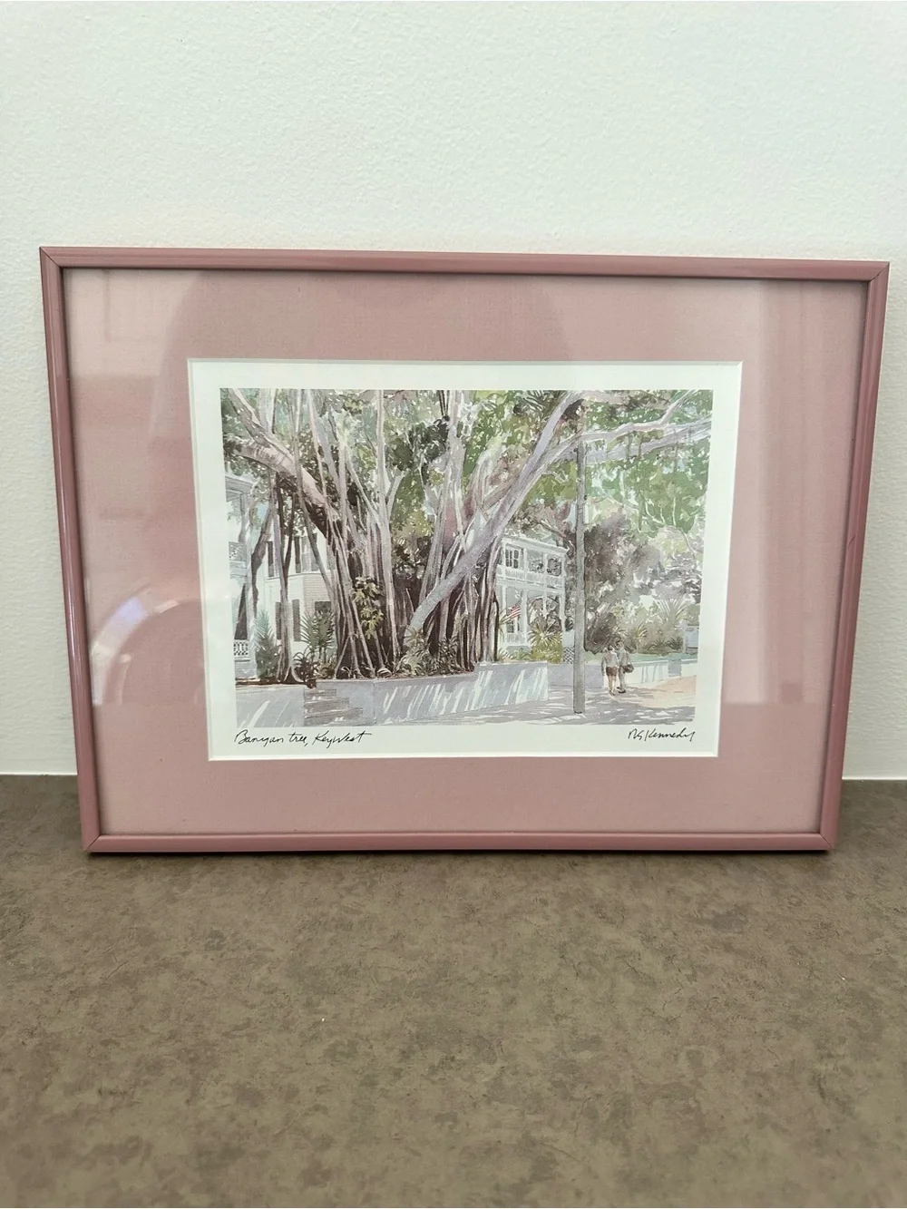 Pink Framed Mat Botanical Wall Art Robert E. Kennedy Iconic Banyan Tree Key West